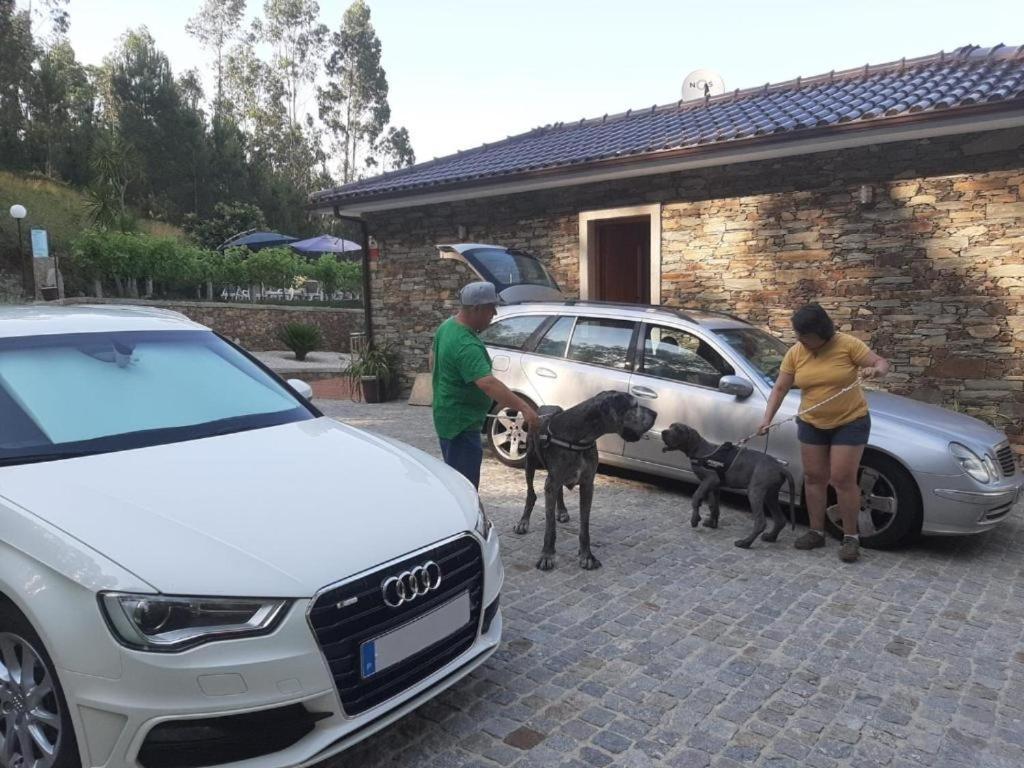 Estudio De Amor Castelo de Paiva Eksteriør bilde